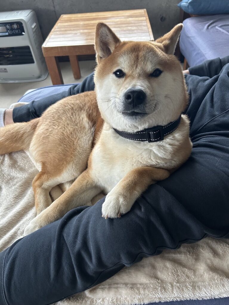 外の景色を眺めること自体が好きな様子（@esuenuesukowaiさんより提供）