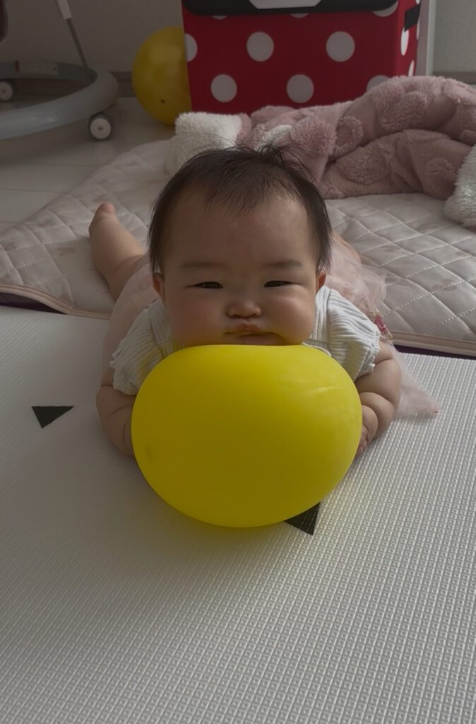 普段の様子②（@dosankofuufuさんより提供）