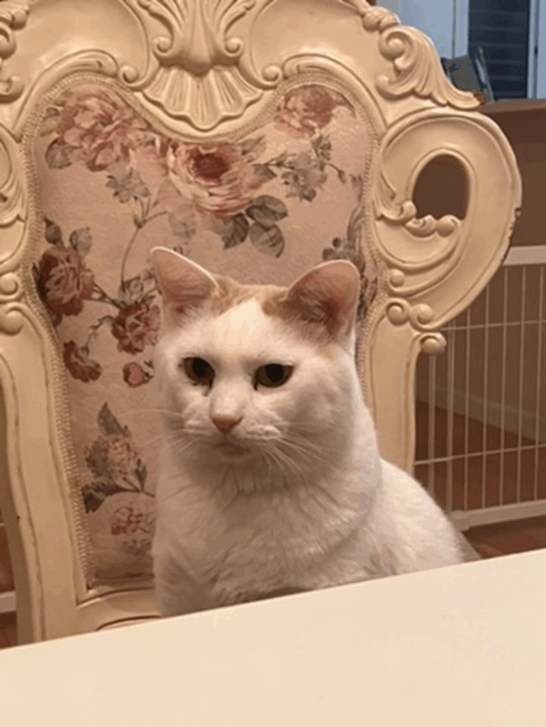 優雅な佇まい（@my.stylist.mjさんより提供）