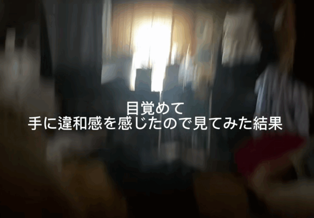 【実際の写真5枚】　投稿者さんが見た光景