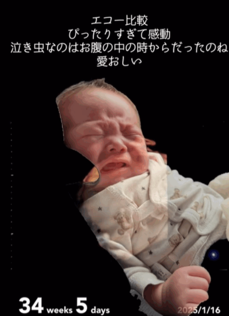 画像を切り抜いて…（＠dybeullophhgさんより提供）