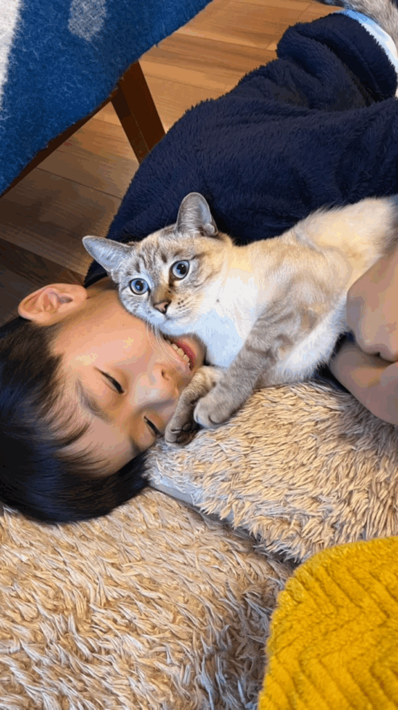 フワフワの毛にメロメロ（@am_nana77さんより提供）