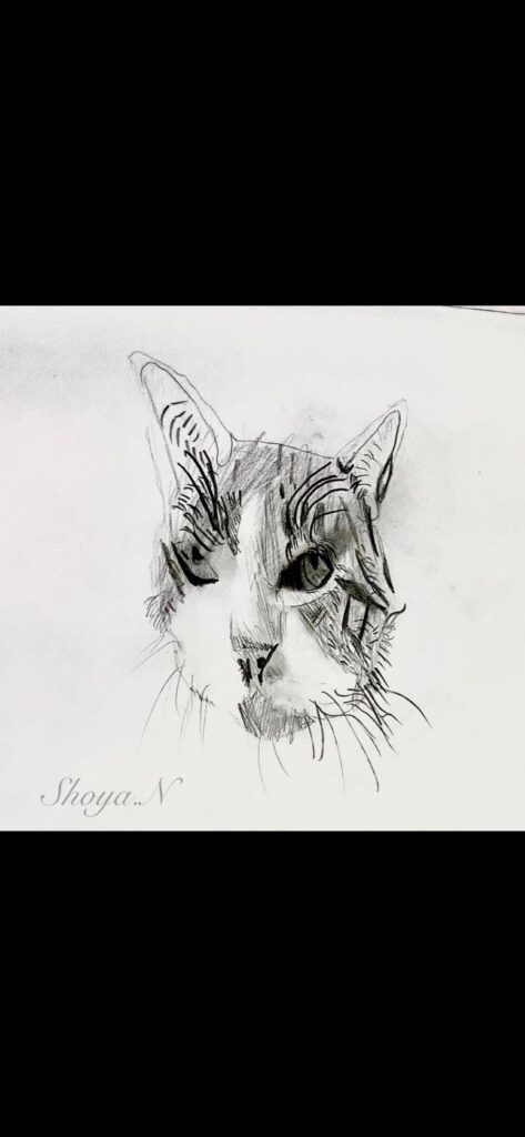 6歳で描いた猫（＠ken_09280227さんより提供）