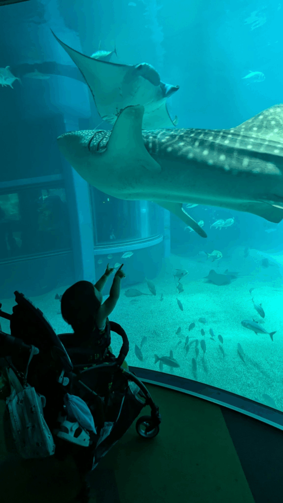 水族館へおでかけ中（@emmi_tokyo11さんより提供）
