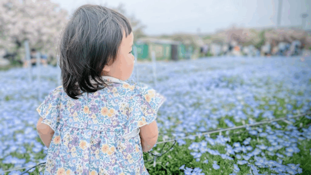 【実際の写真5枚】　１年後の様子