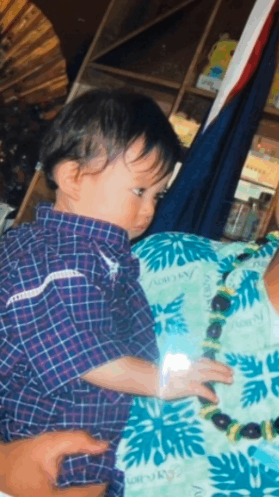 【実際の写真6枚】　１７年後の様子