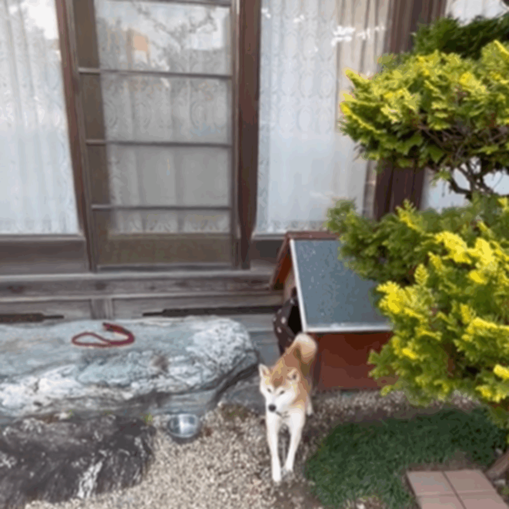 脱出成功♪（＠koomameeさんより提供）