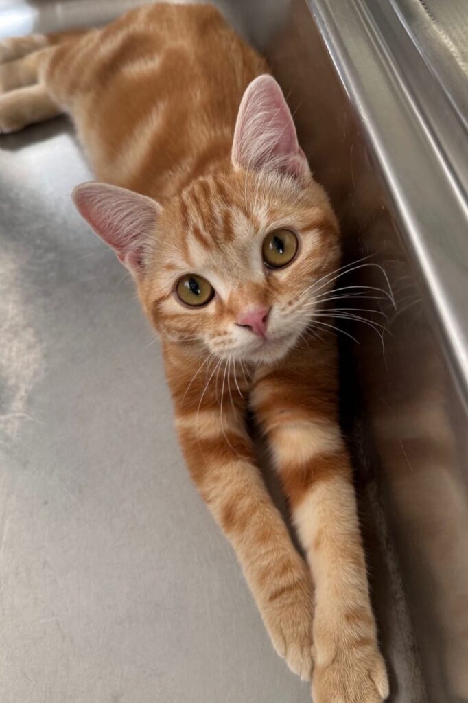 今はすっかり元気になりました（＠08yu_20さんより提供）