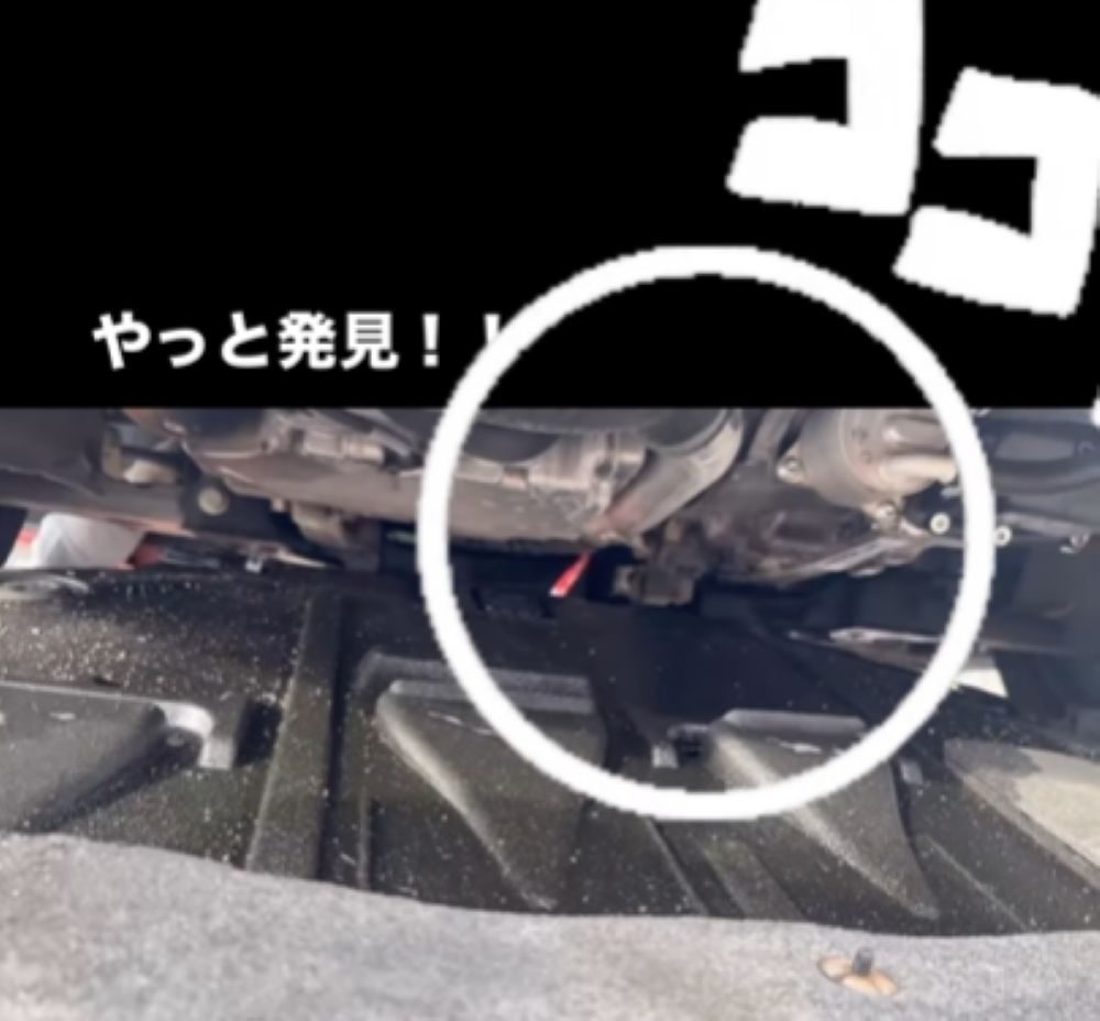 【実際の写真5枚】　投稿者さんが見た光景