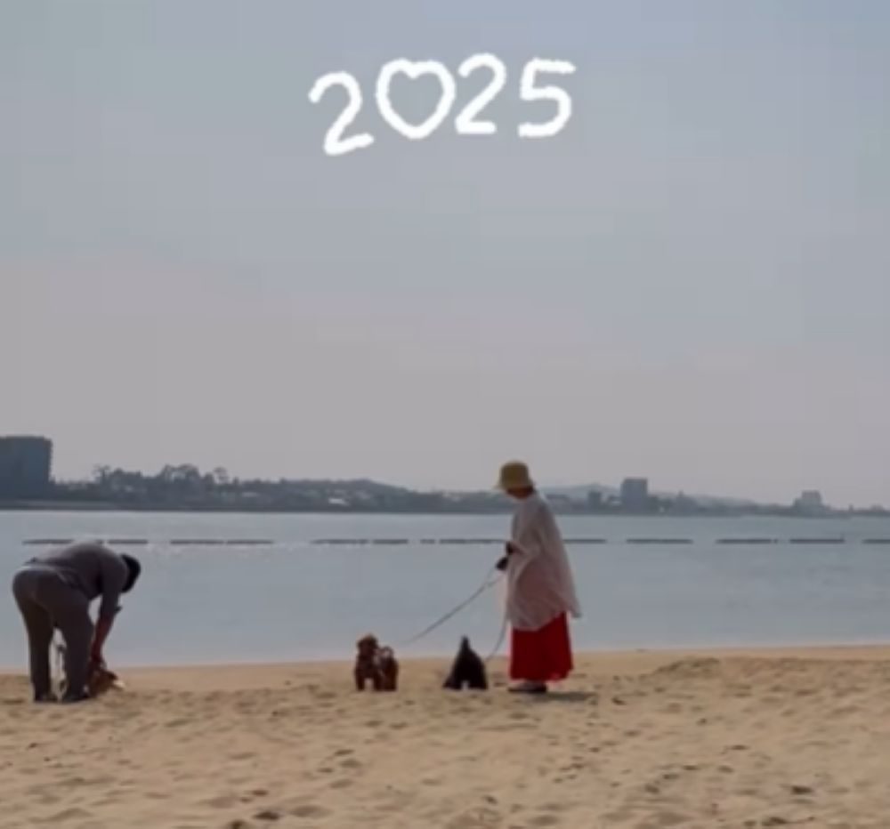 現在の様子（＠ten__gin__suiさんより提供）