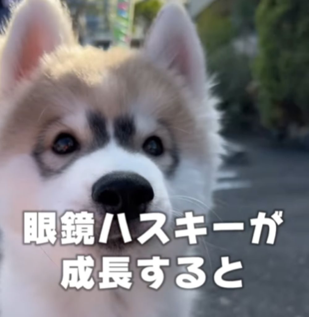 【実際の写真5枚】　７ヶ月後の様子