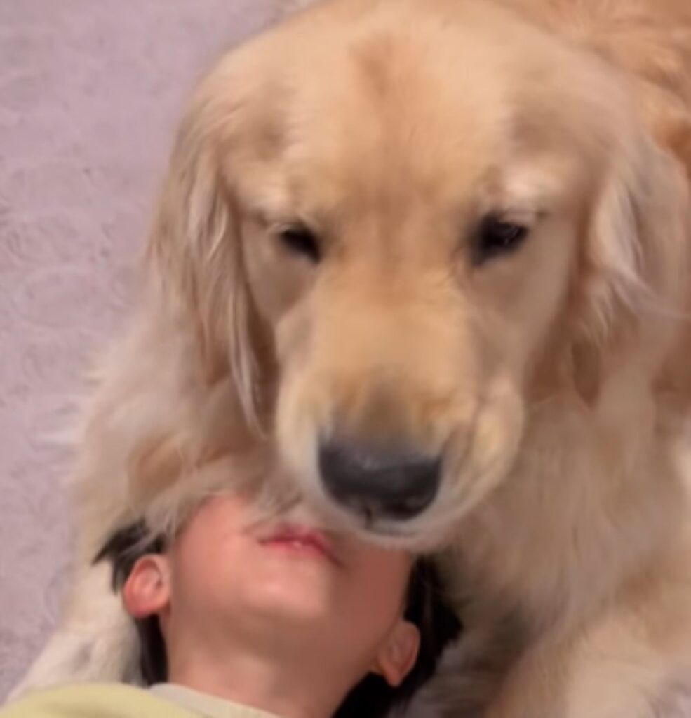 エルくん（＠yuu160cmさんより提供）