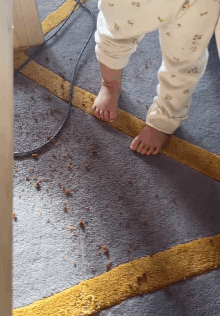 床にはボロボロこぼれていて（@moontwins.0810さんより提供）