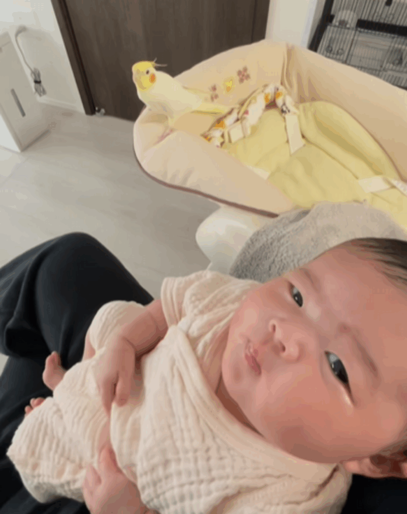 【実際の写真5枚】　ママが見た光景