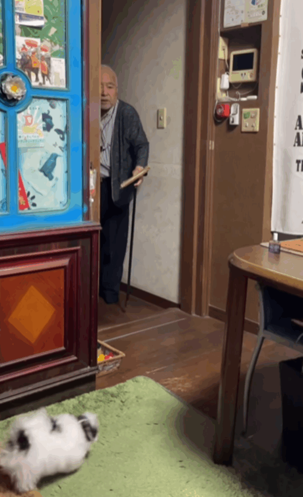 【実際の写真6枚】　じいじが見た光景