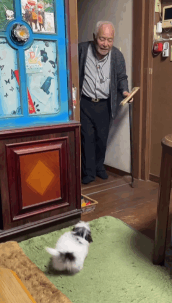 おとちゃんも尻尾を振りまくってお出迎え（@tomococo806さんより提供）