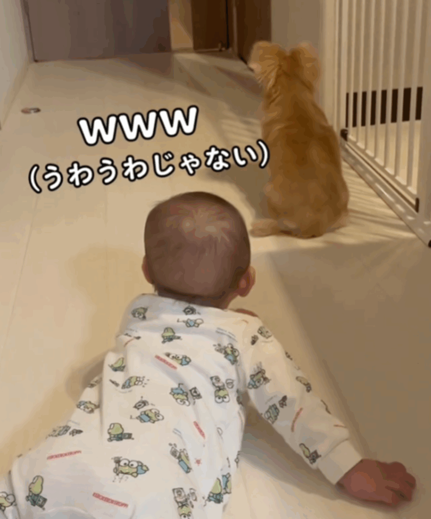 そんな姿に赤ちゃんもご機嫌！？（@hana_no_kimochiさんより提供）