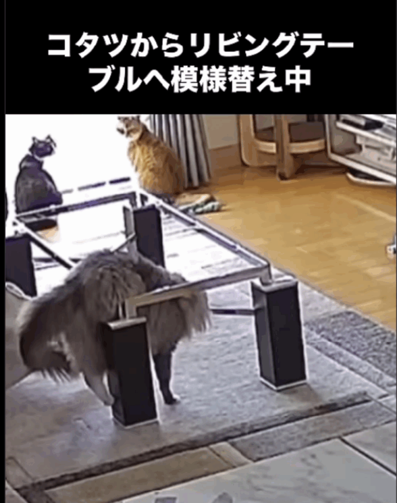【実際の写真6枚】　飼い主さんが見た光景