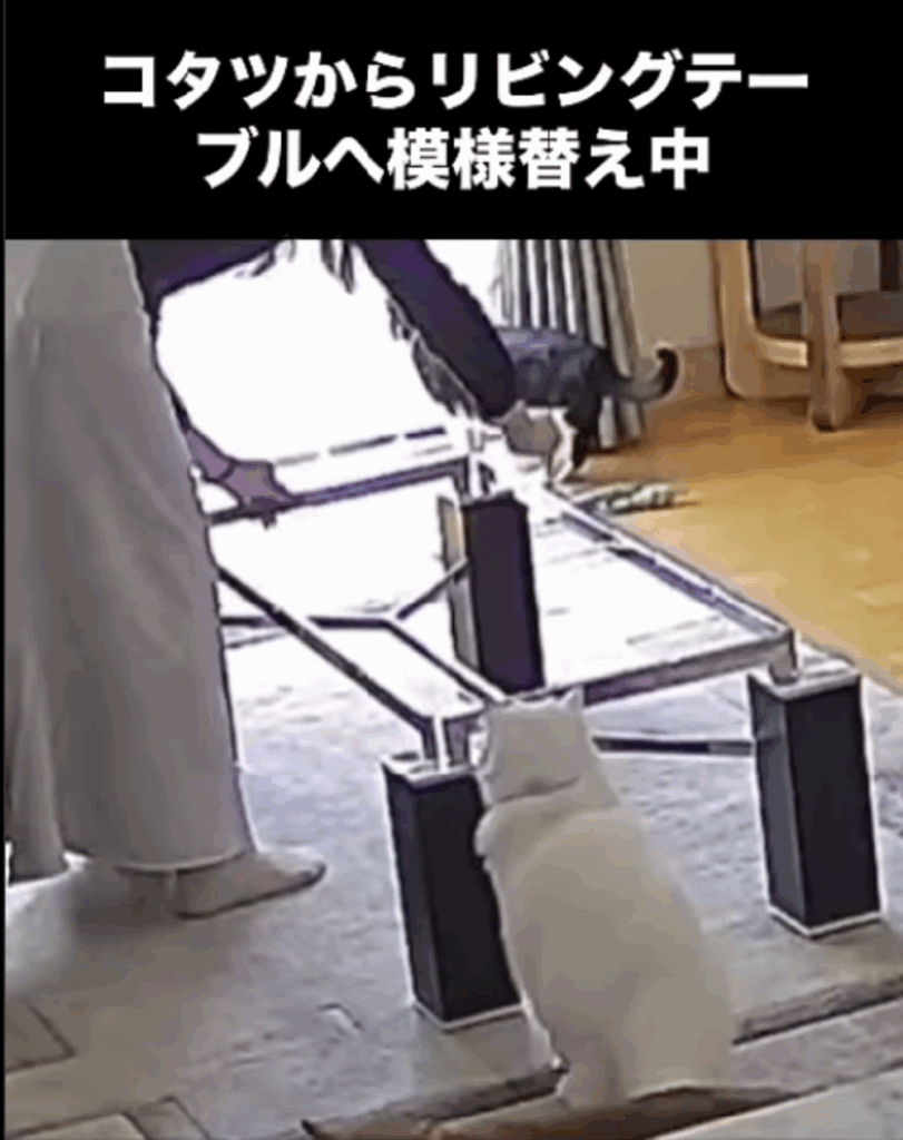 模様替えをしていると…？（@jim_zaki22さんより提供）