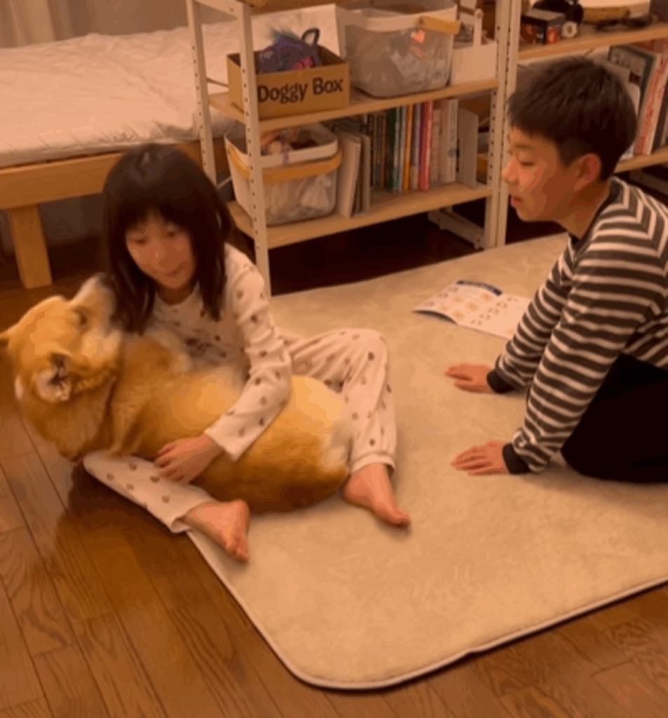 【実際の写真7枚】　母が見た光景