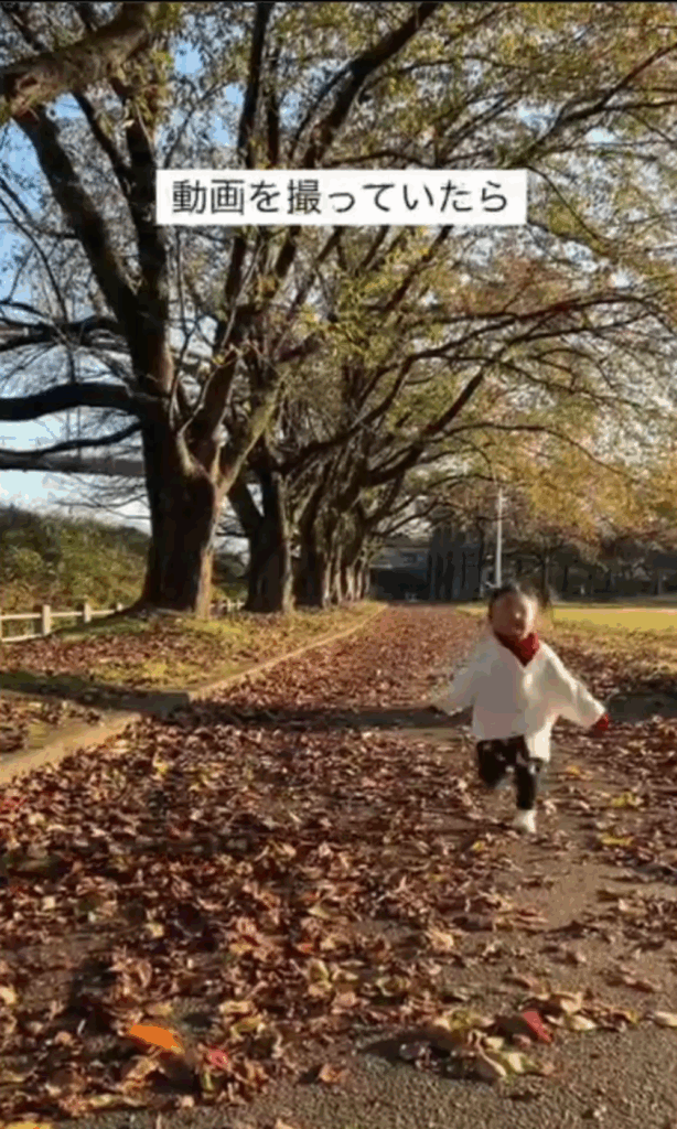 落ち葉踏みをしていたのに…（@soma_202001_73さんより提供）