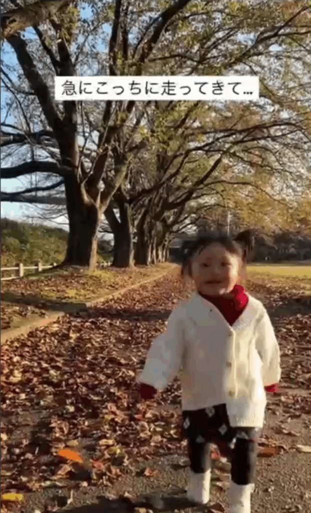 【実際の写真5枚】　ママが見た光景