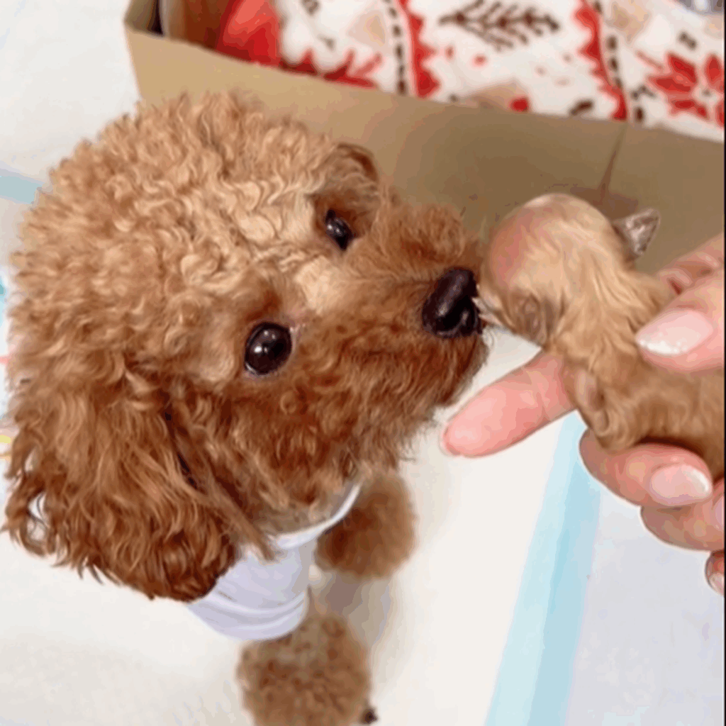 ママの愛情をいっぱい受けて（＠mocha_kona0615さんより提供）