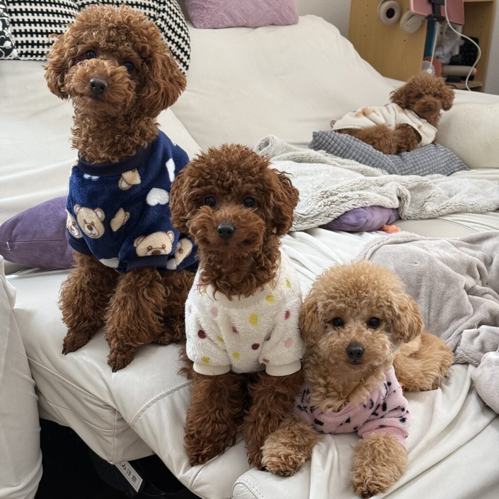 1番右にいるミラちゃん！（＠mocha_kona0615さんより提供）