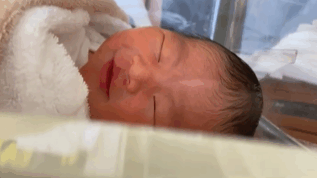 【実際の写真6枚】　ママが見た光景