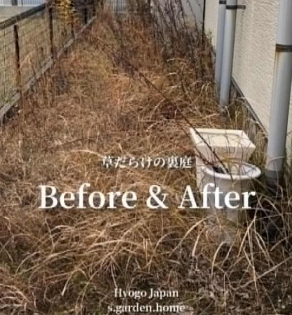 雑草ボーボーの裏庭 →対応した結果…4年後”見違えた光景”に「ストレス 