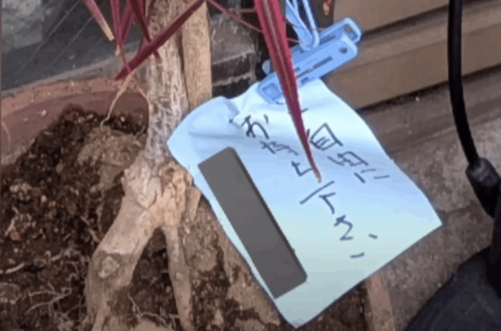 「ご自由にお持ちください」と書かれたドラセナコンシンネ（@midorinoobasanさんより提供）