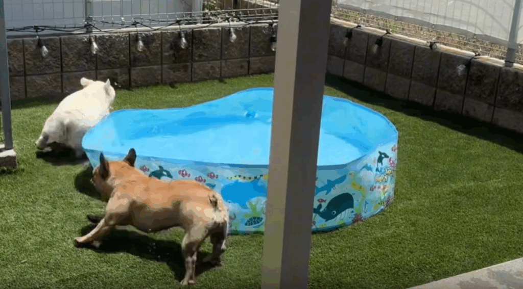 【実際の写真7枚】　まさかの使い方