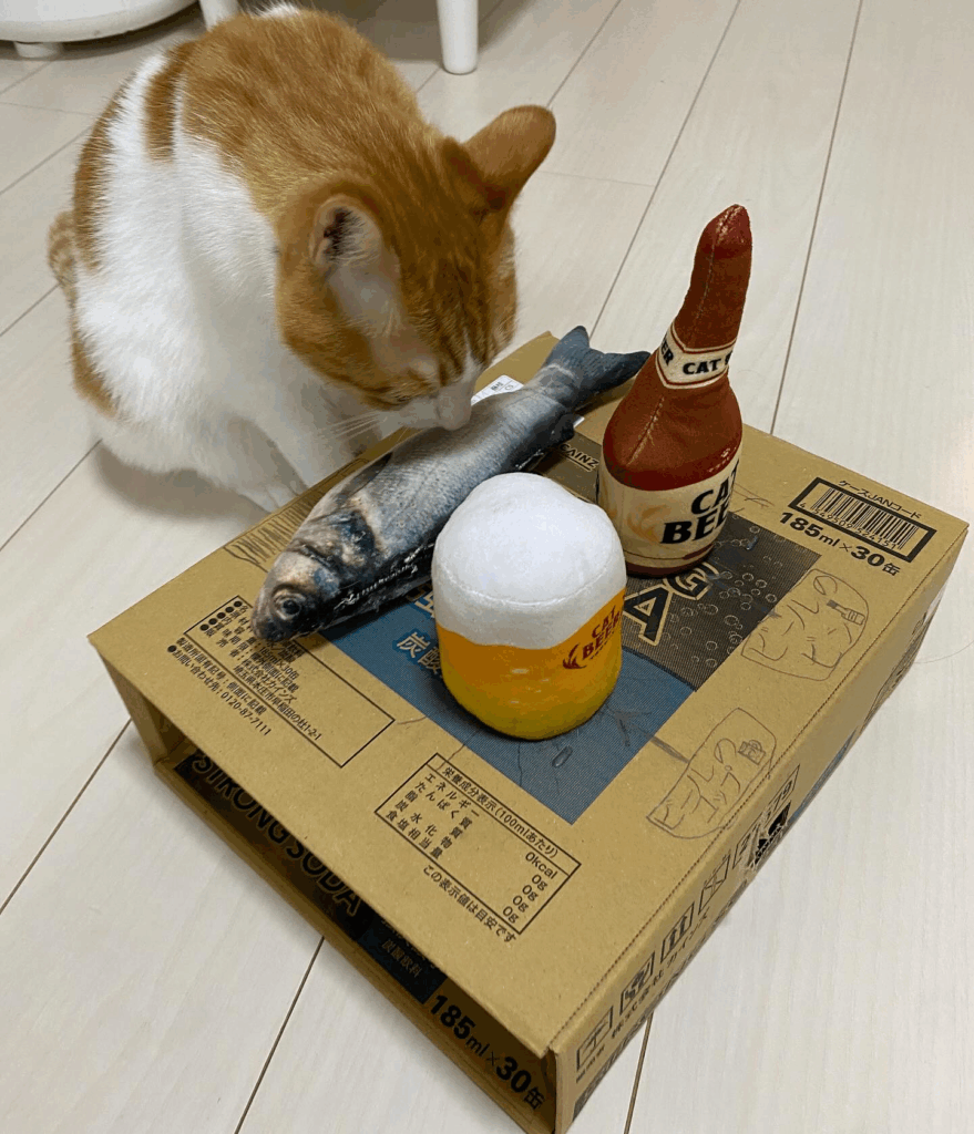 テーブルの上の蹴りぐるみに顔を寄せるはっさくくん（@kasumonjaさんより提供）