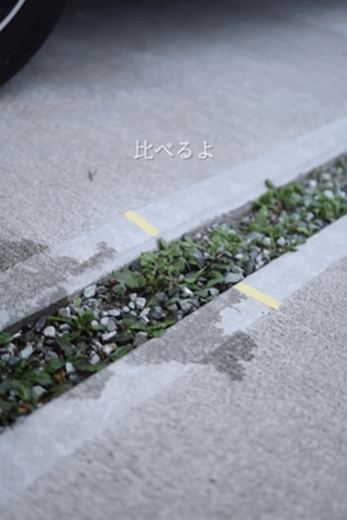 熱湯をかけた場所とかけていない場所の境界をマーキング（@ai_cozy_homeさんより提供）