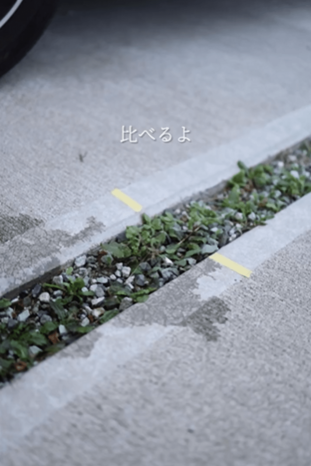 気が付くと生えてくる”雑草”。　→すぐできる対策に…「やってみます」「勉強になります」