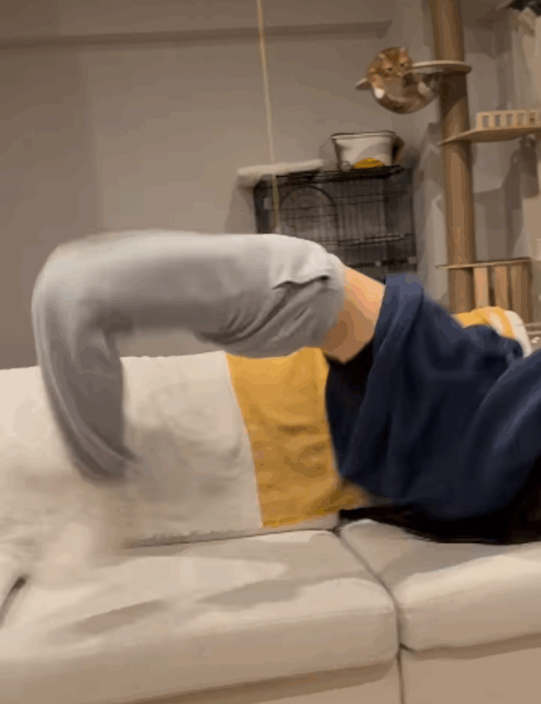 キックアップ②：跳ね起きる（@tadanohito12214さんより提供）