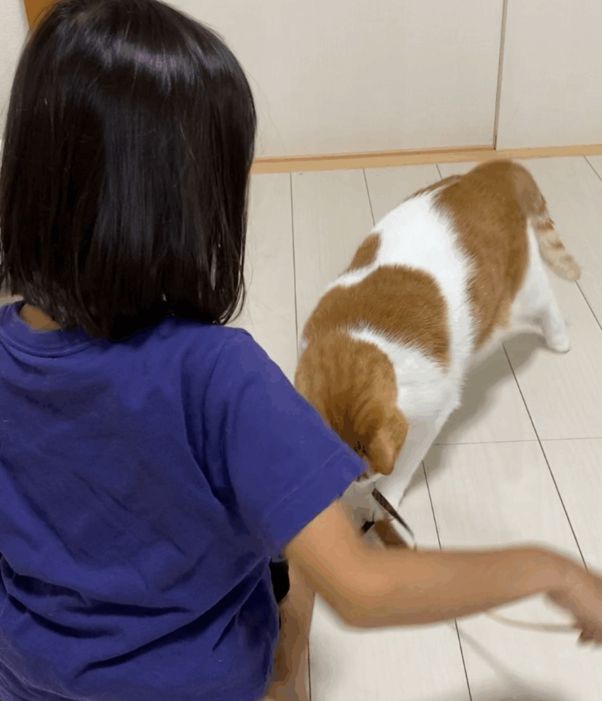 【実際の写真】まさかのモノ