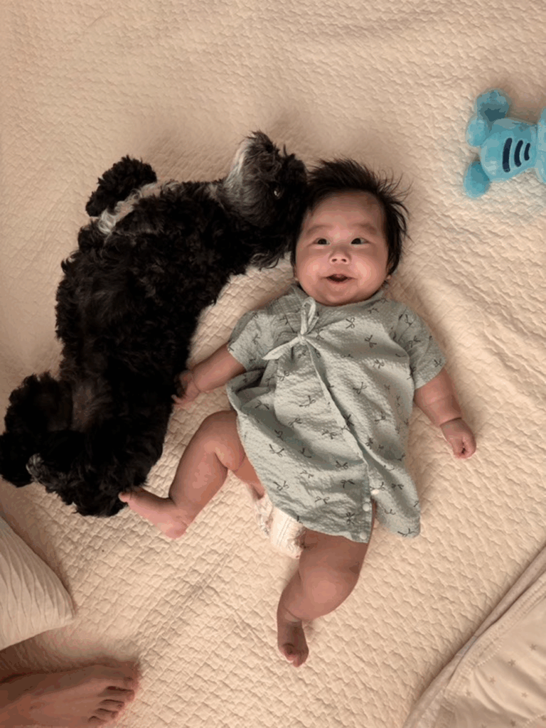 【実際の写真5枚】　ママが見た光景