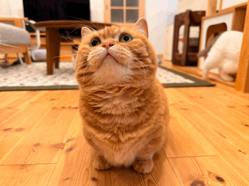 【実際の写真6枚】　投稿者さんが５年間見た光景