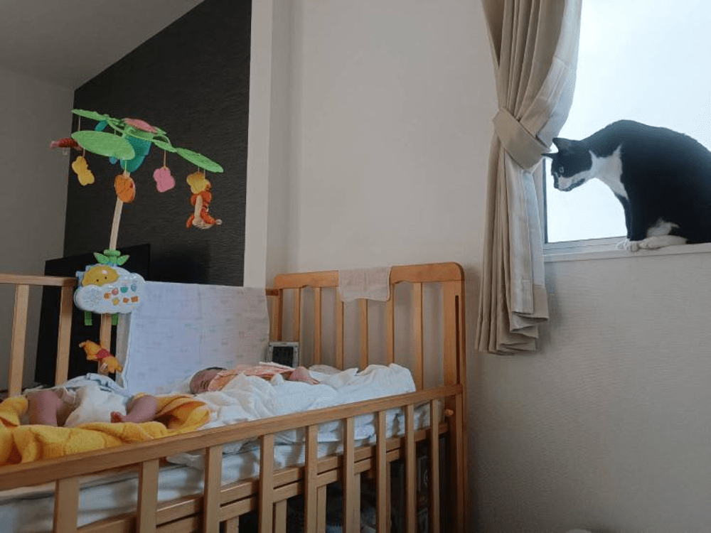 猫と赤ちゃん④（@aiko.3catsさんより提供）