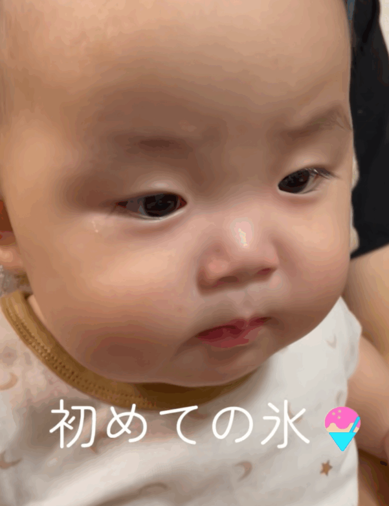 【実際の写真5枚】　パパが見た光景