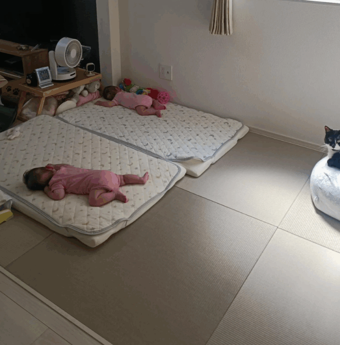 【実際の写真7枚】　ママが見た光景