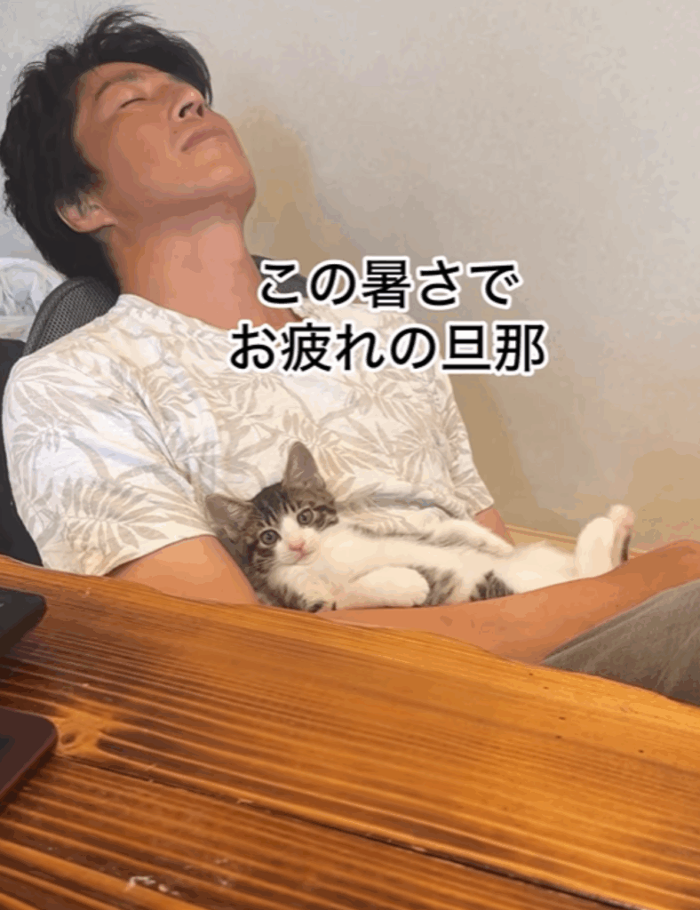 【実際の写真】その隣をよく見ると