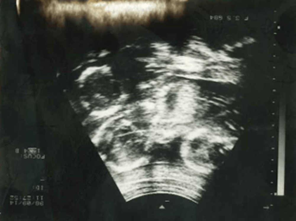 【実際の写真10枚】　２５年後の現在の様子