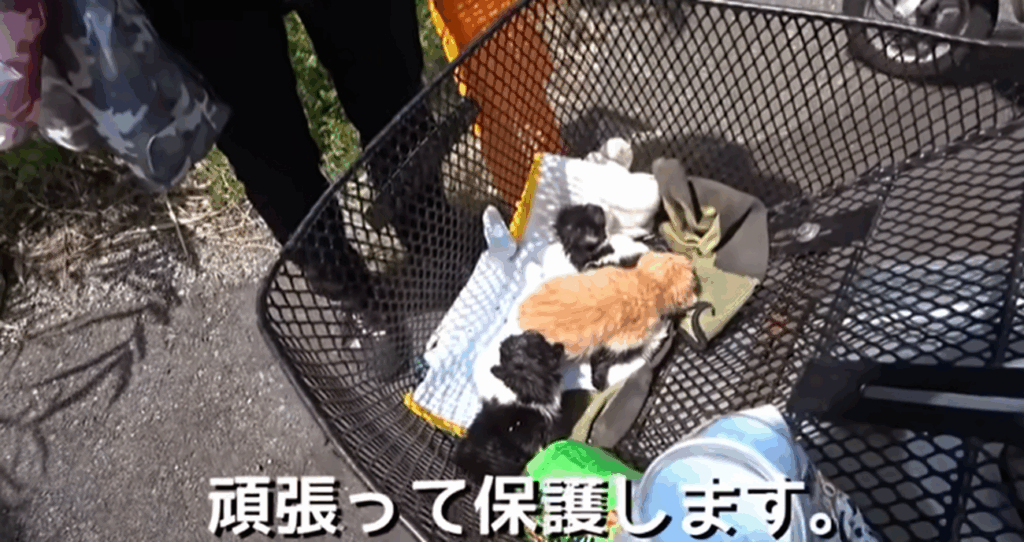 【実際の写真11枚】　１年後の様子