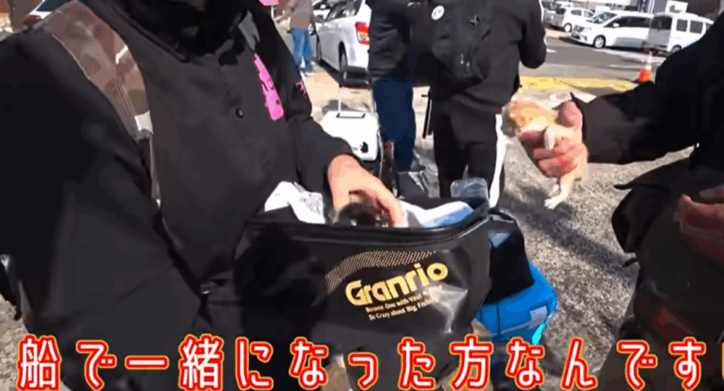 茶色の子猫を引き取ってくれる方が…（＠ヒミツキチチャンネルさんより提供）