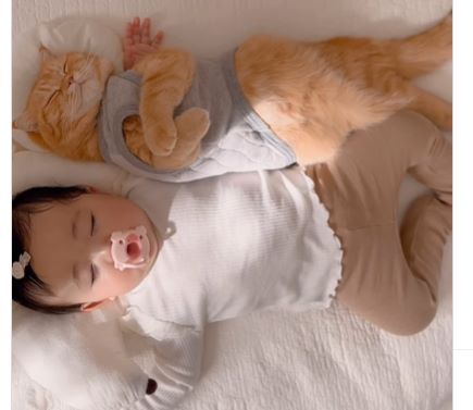 【実際の写真８枚】　１年後の様子