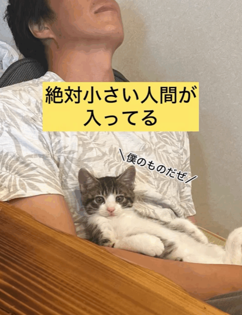 子供とは育ってゆく人だ。 1000年に一人の逸材シバ先生直筆 子供とは育ってゆく人だ。 1000年に一人の逸材シバ先生直筆