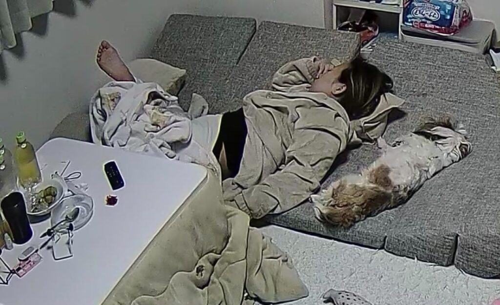 うまくよけるむぎちゃん（＠sime_harituruさんより提供）