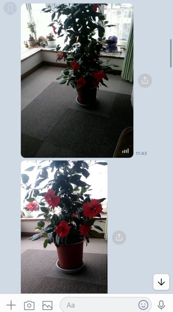 おばあちゃんとのLINE③（＠2576601213mkさんより提供）